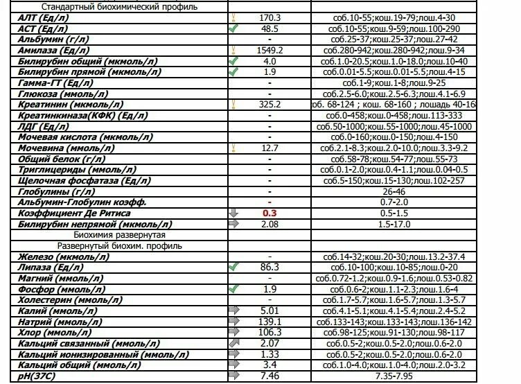 Анализ биохимия расширенная. Биохимия крови развернутый анализ. В биохимию крови входит показатели. Список показателей в биохимическом анализе крови развернутый. Биохимический анализ крови список анализов.