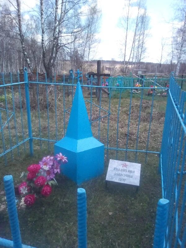 деревня усадище волховский район. ассаурово кладбище. молвотицы новгородская область. кладбище в селах пеньки картинки. старое мещерское кладбище.