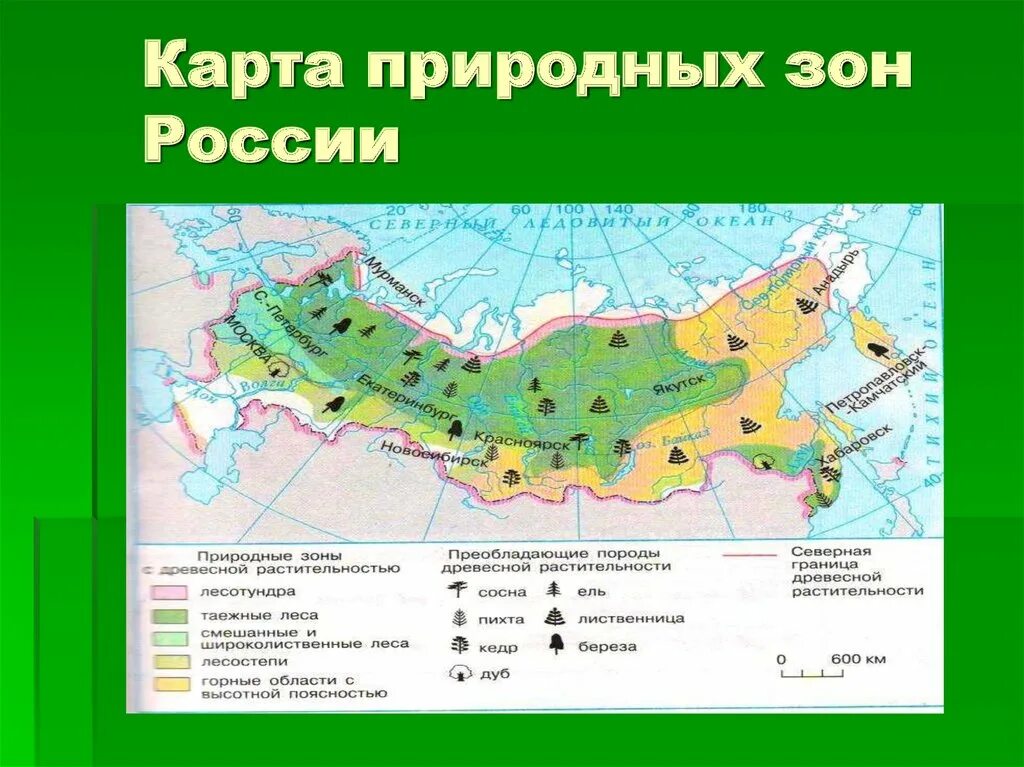 Какая природная зона является переходной. Карта природные зоны России 4 класс окружающий мир природные зоны. Карта природных зон России 8 класс география. Карта географических поясов и природных зон России. Карта по географии 8 класс природные зоны России.