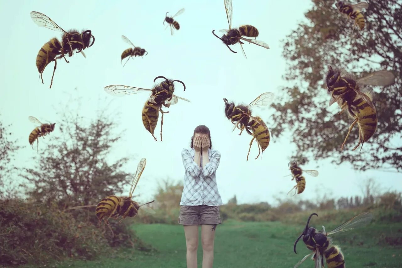 Убегаем пчел. Осы Рой. Пчелы атакуют. Насекомые много.