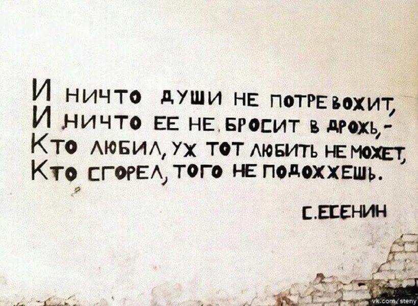 И ничто души не потревожит. Стихи психов. Стишки для психов. Цитаты про психов.