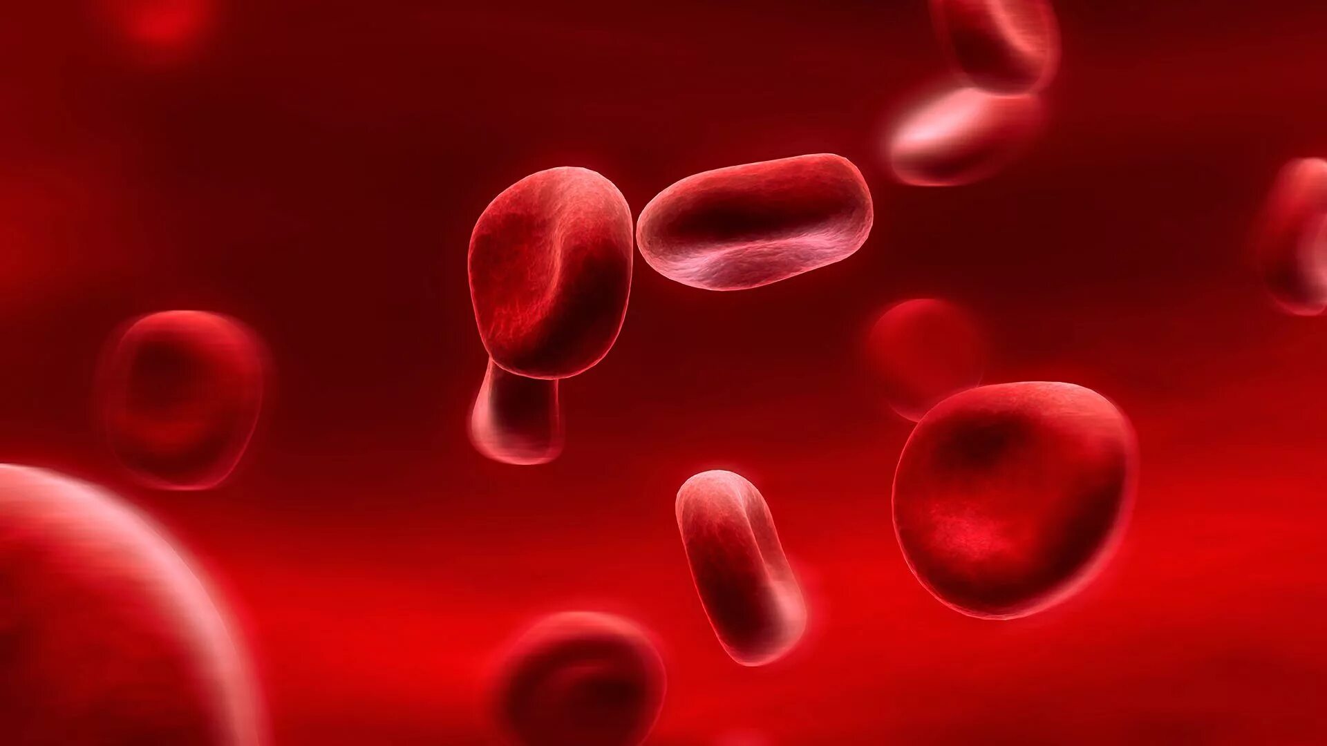 Эритроциты 3.2. Blood Cells эритроциты.