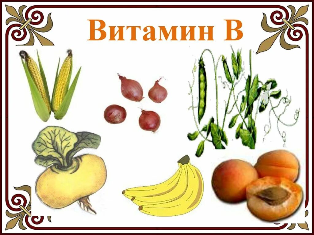 Фрукты витамина b