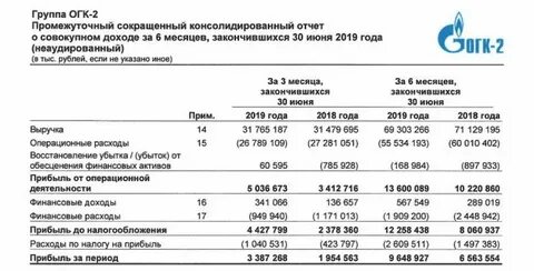 2019 год отчет