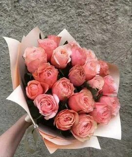 Купите розы 23