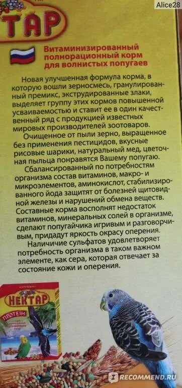 Можно волнистому попугаю хлеб