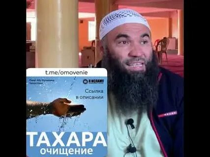 Собака омовение