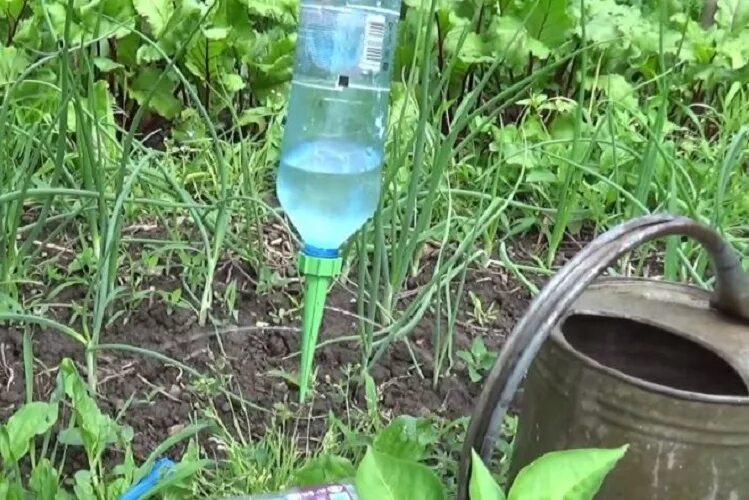 Капельный полив из бутылки своими руками. Капельный полив из бутылки своими руками. Капельный полив из 5 литровой бутылки. Пластиковые бутылки для полива огорода. Пластиковые бутылки для полива огорода.