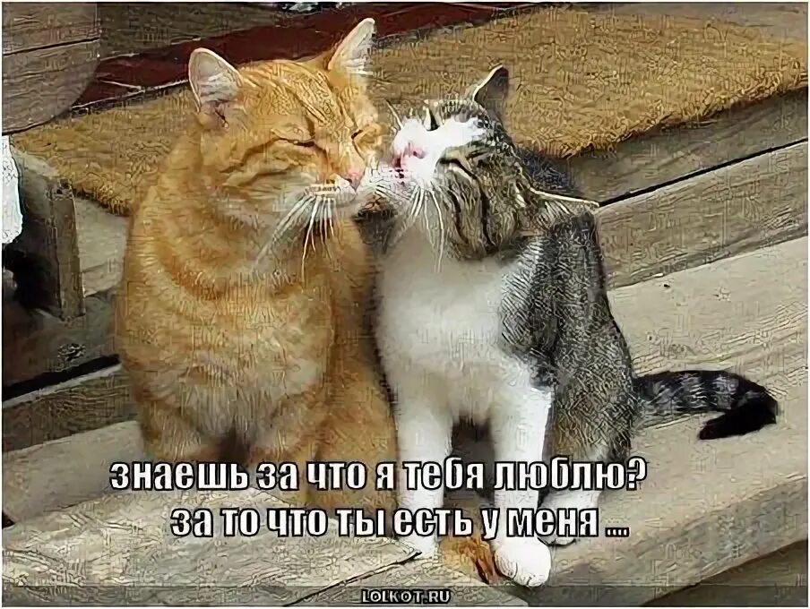 Как они это очень любят