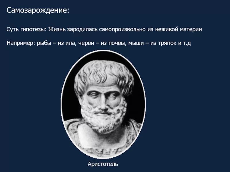 Гипотеза живое из неживого. Самозарождение Аристотель. Аристотель теория самозарождения. Гипотеза самозарождения доказательства. Теория самозарождения жизни.