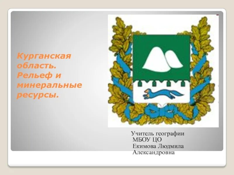 Богатство курганской области. Курганская область на карте России. Рельеф Курганской области. Курганская область Геологическое строение. Курганская область картинки.