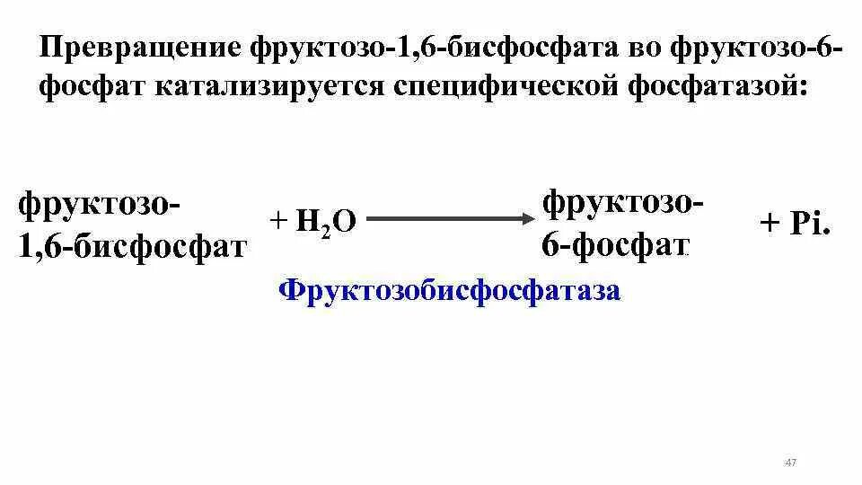 Фруктозо 1 6 бисфосфат. Фруктозо 1 6 бисфосфат. Фруктоза 2 6 дифосфат. Фруктозо 1 6 бисфосфатаза кофермент. Фруктозо 1 6 бисфосфатаза регуляция.