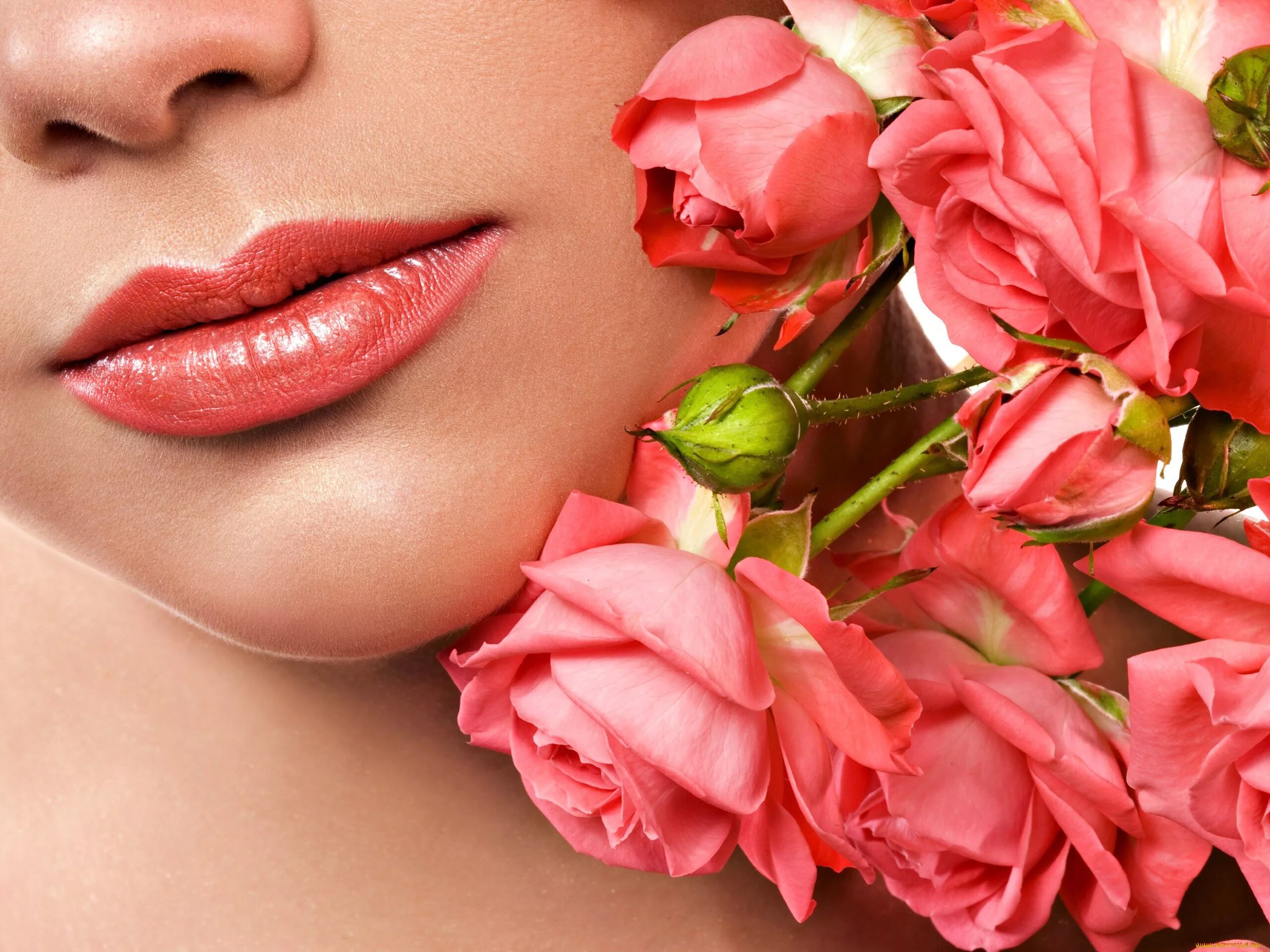 Женские губы. Красивые губы. Цветок губы. Женщина с цветком в губах.