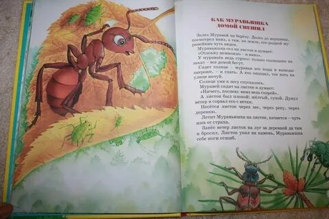 Главная мысль бианки как муравьишка домой
