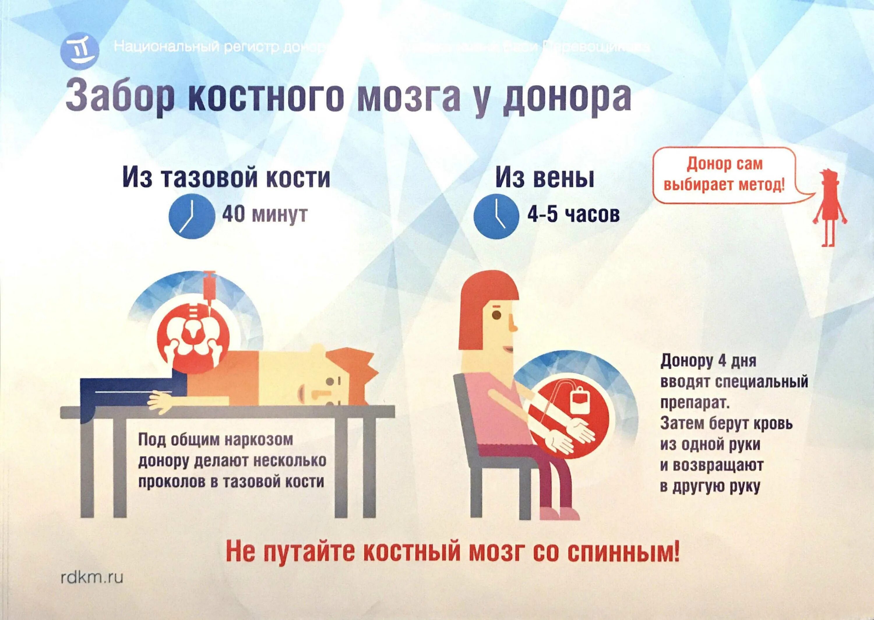 Лейкоз донор костного мозга. Донор костного мозга. доноство косногомозга. донорство клеток костного мозга.