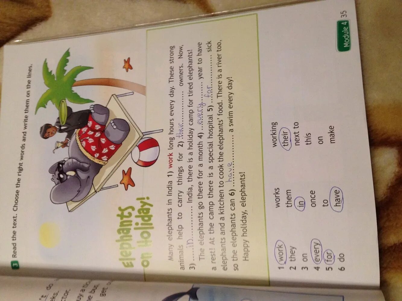 Wild animals английский язык 4 класс рабочая тетрадь. английский язык 4 класс страница 82. спотлайт 4 класс стр 35. Spotlight 4 класс английский в фокусе. английский язык 4 класс рабочая тетрадь стр 35.