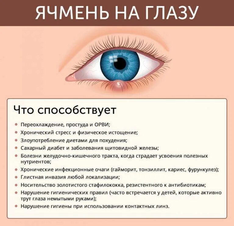 Назовите причины конъюнктивита какую помощь надо оказать. Я чмень на глощу. Ячмень на глазу внутреннее веко.