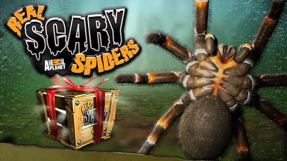 Игра паук. Игра про паучка. Игры про пауков на андроид. Real Scary Spiders. Топ игр про пауков