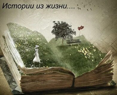 История целой жизни