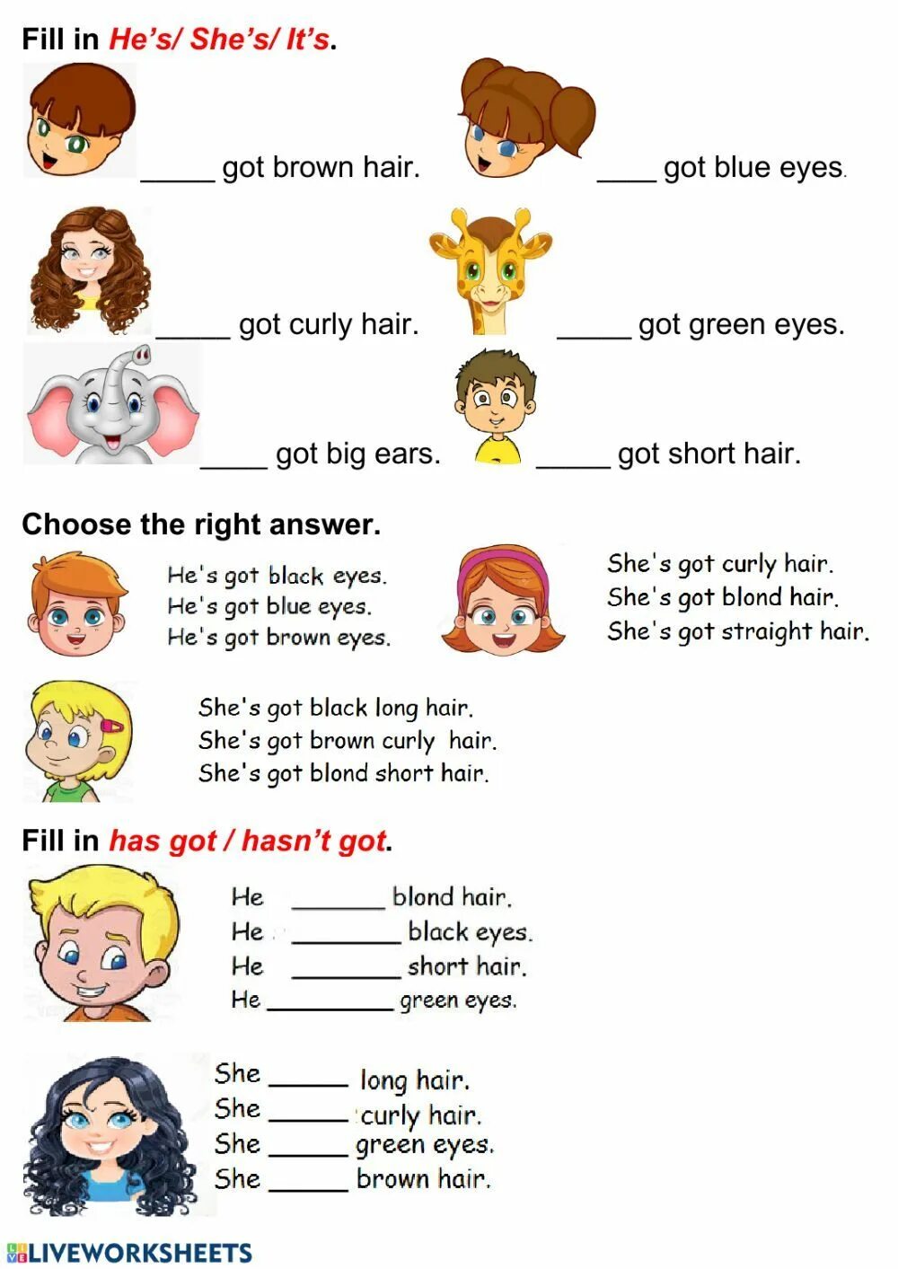 He not have a wife. Have got has got упражнения 2 класс Worksheets. Have has got Worksheets 2 класс. Have got has got вопросы Worksheets. Have got Worksheets 5 класс.