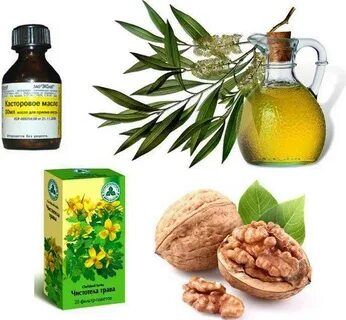 Какие травы от папилломы