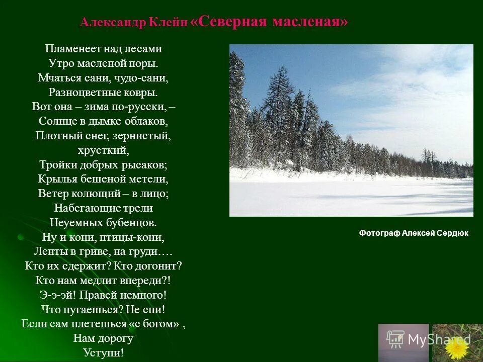 текст лесное утро. , щекотова л. сочинение зимой в лесу. рассказ о лесе. ярким солнцем в лесу пламенеет.