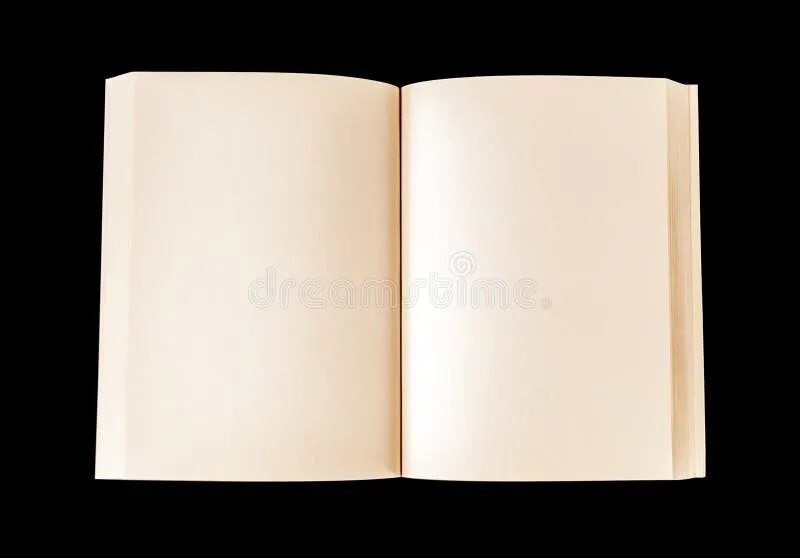 Книга с пустыми страницами. Книга с пустыми страницами вектор. Blank book Cover. Open old book blank.