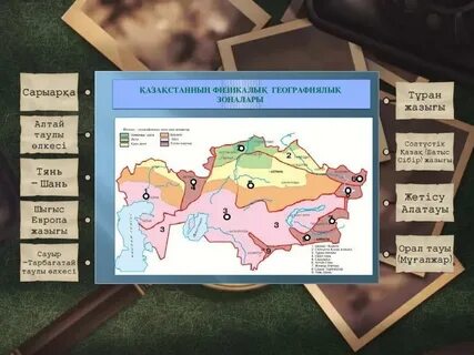 Винкс секс мультфильмдерін қараңыз