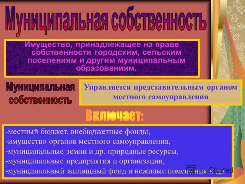 Имущество органов самоуправления собственность