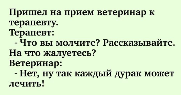 Анекдот приходит к врачу. Анекдот ветеринар на приеме у терапевта. Ветеринар приходит к врачу анекдот. Приходит ветеринар к терапевту анекдот. Анекдоты про ветеринаров.