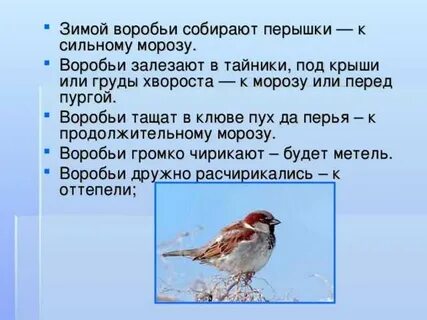 Тест про воробьев