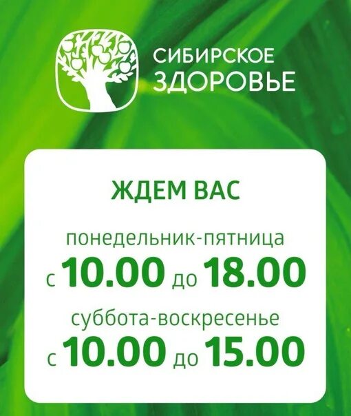 Магазин сибирское здоровье телефон. Сибирское здоровье магазин. Сибирское здоровье офис. А Новосибирске магазин Сибирское здоровье. Сибирское здоровье Рязань.