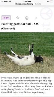 Hilarious, but also quite unkind to the goats. liquid_languor. 