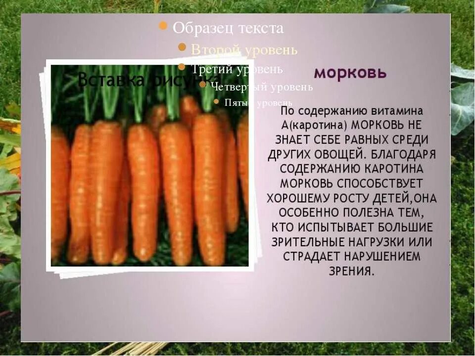 Морковь 2 класс