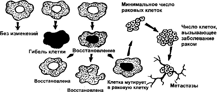 Картинки ВОЗДЕЙСТВИЯ РАДИАЦИИ НА ЗДОРОВЬЕ ЧЕЛОВЕКА
