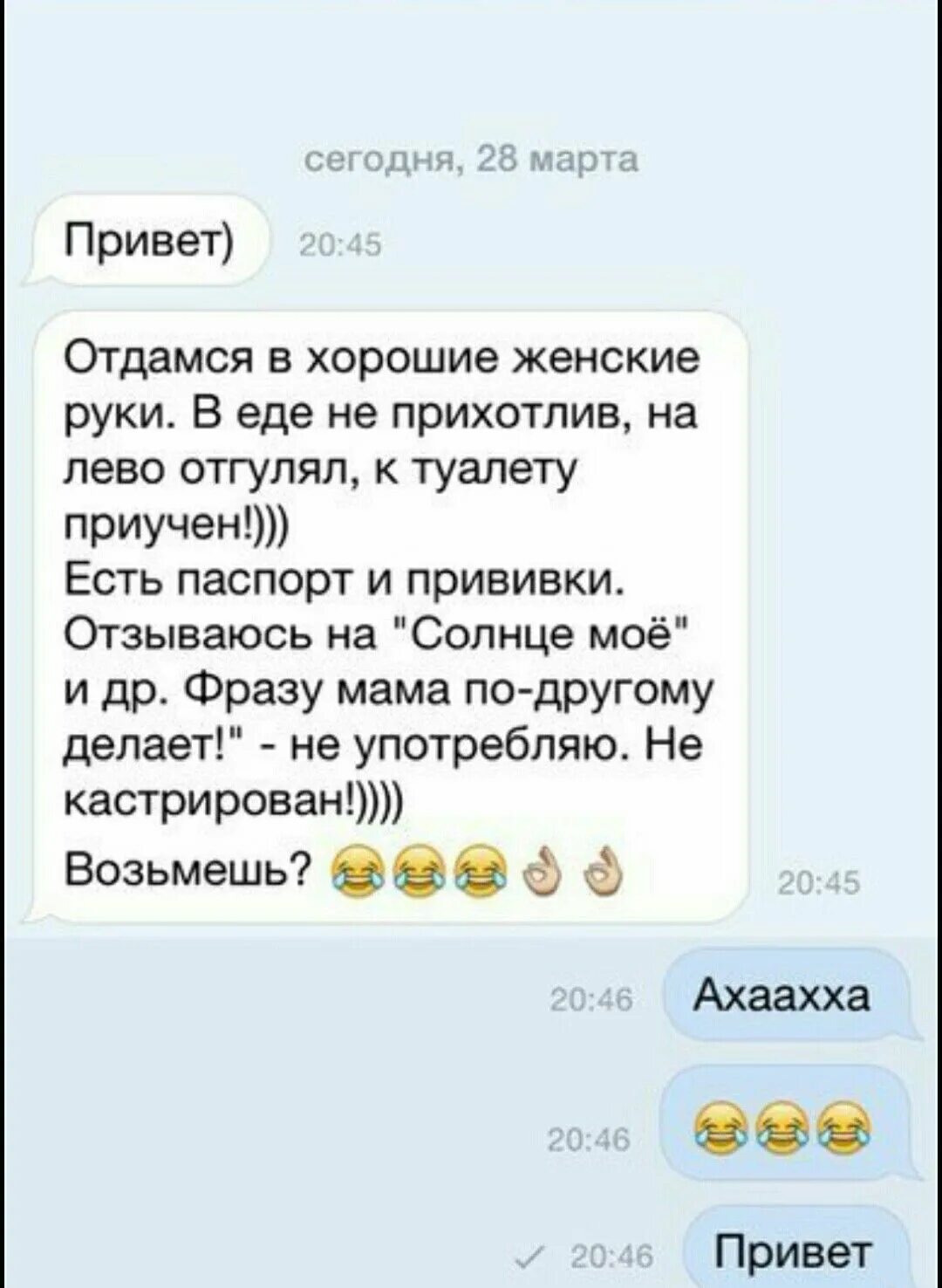 Как поприветствовать девушку в переписке