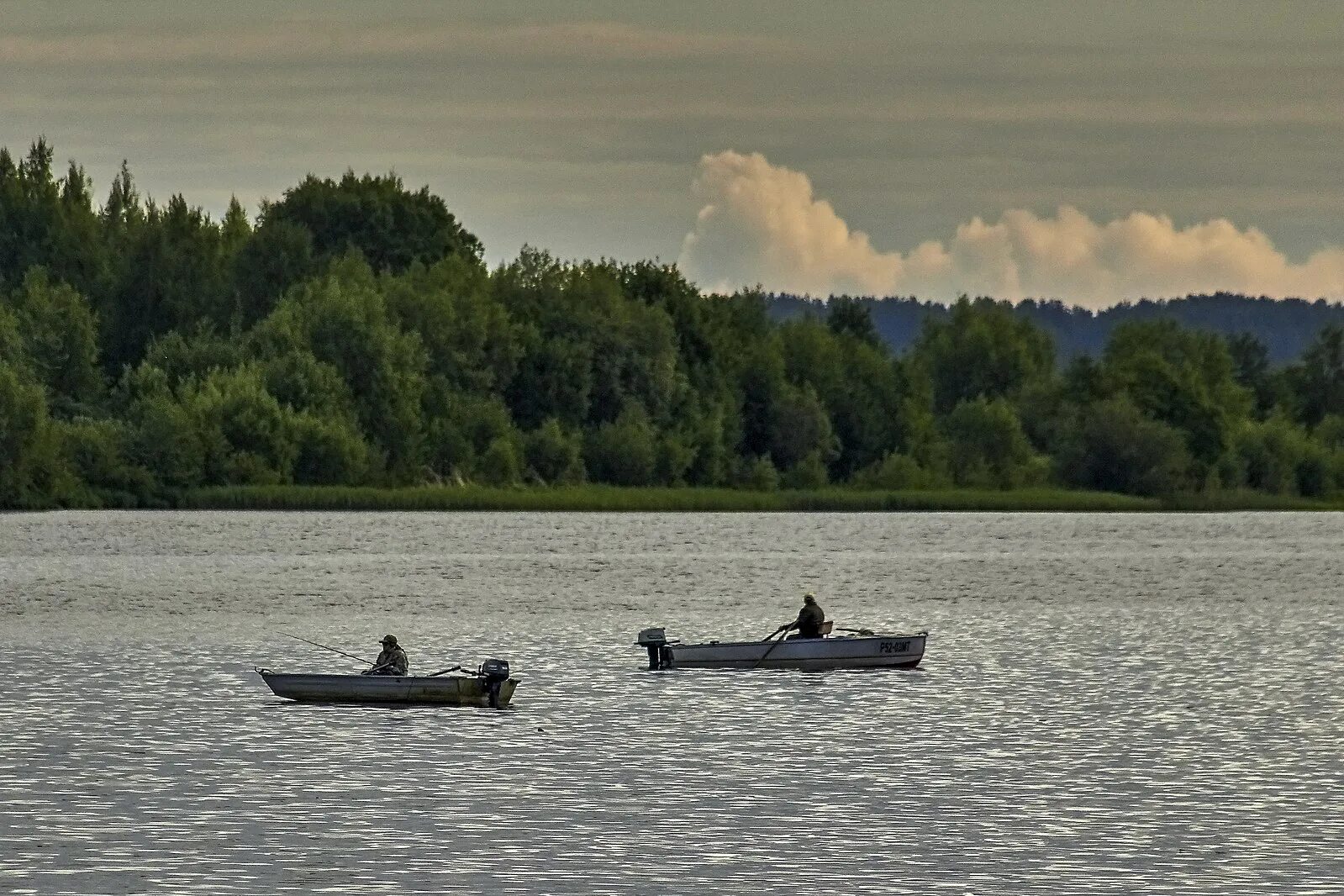 Какая сегодня волга. Татинец река Волга. Река Волга в Нижегородской области. Река Волга Маркс Черныш. Бряхимов Волга.