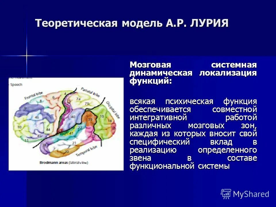 Улучшение функции мозга