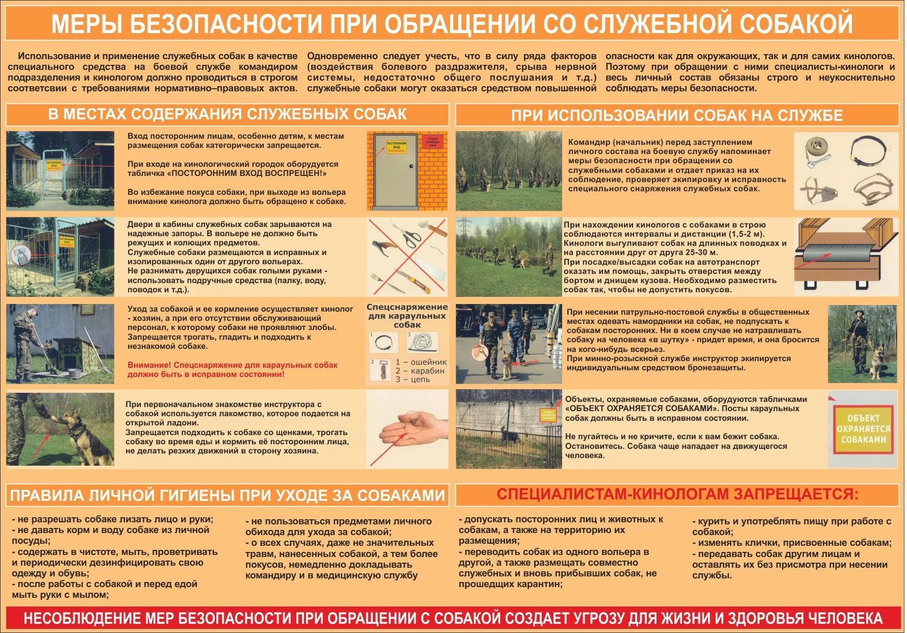 Меры безопасности с собакой. Меры безопасности на службе. Плакаты по кинологии. Меры безопасности плакат. Безопасность при боевых действиях