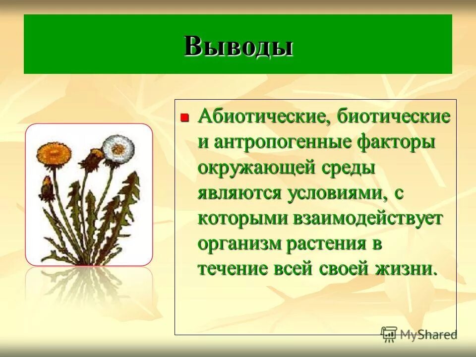 Лимитирующий фактор жизни растений в нечерноземной зоне