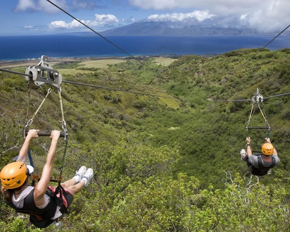 Зиплайн что это такое. Зиплайн. Зиплайн медовый. Зиплайн - zip line. Троллей ЗИП лайн.