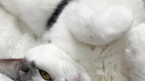 NATINATU252525 Kullanıcısının Çıplak Videoları ve Masturbate Chat