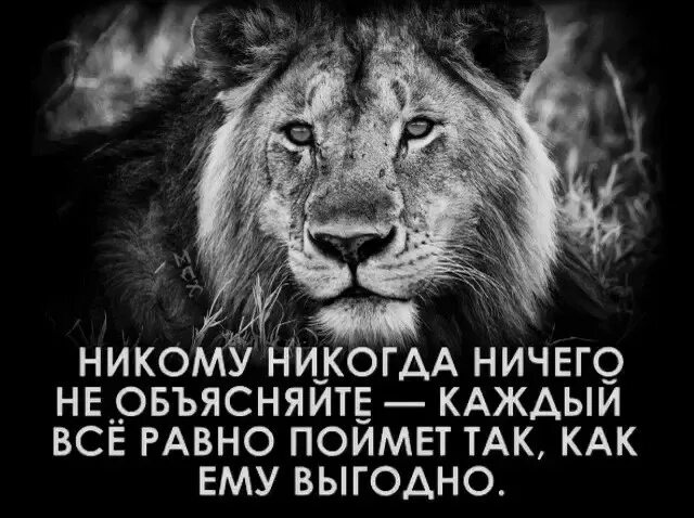 Ничего объяснить ни. Никогда никому ничего. никогда никому не надо ничего объяснять. никогда никому ничего не доказывай. никогда никому ничего не объясняй.