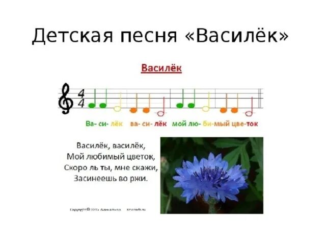 Детская песня какого цвета лета. Василек Василек Ноты. Василек Василек Ноты для фортепиано. Василек детская песенка. Ноты детских песен.