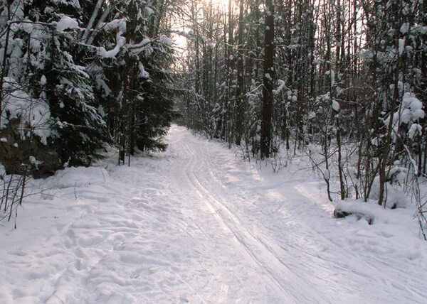 Николай елей. Летопись зимы. Зима 2009-2010 в россии. Летопись зимы. Летопись зимы.