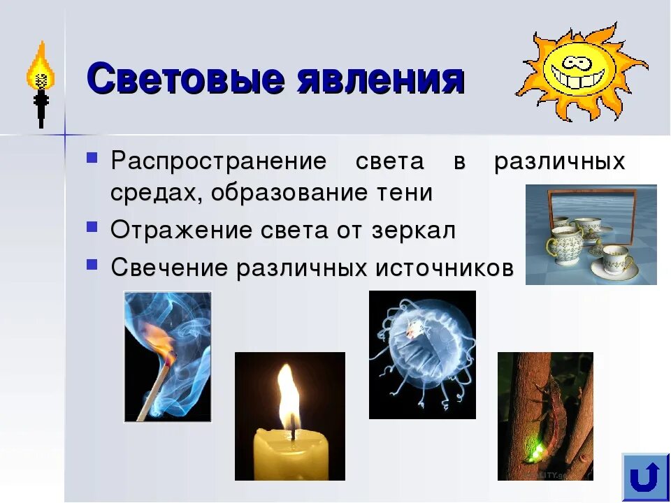 Свет физика 7 класс. Свет физика 7 класс