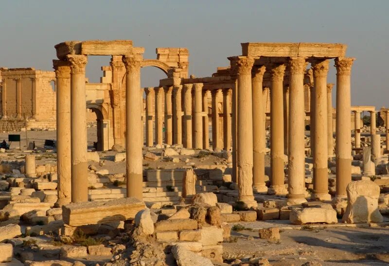 Palmyra castle пальмира. мозамбик пальмира. пальмира невеста пустыни до войны. сирия пальмира цитадель. Things to do near palmyra pa.