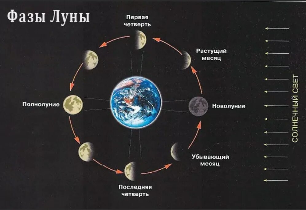 Фазы Луны. Ф̆̈ӑ̈з̆̈ы̆̈ Л̆̈ў̈н̆̈ы̆̈. Фазы Луны схема. Схема новолуния и полнолуния. Месяцев первые изменения