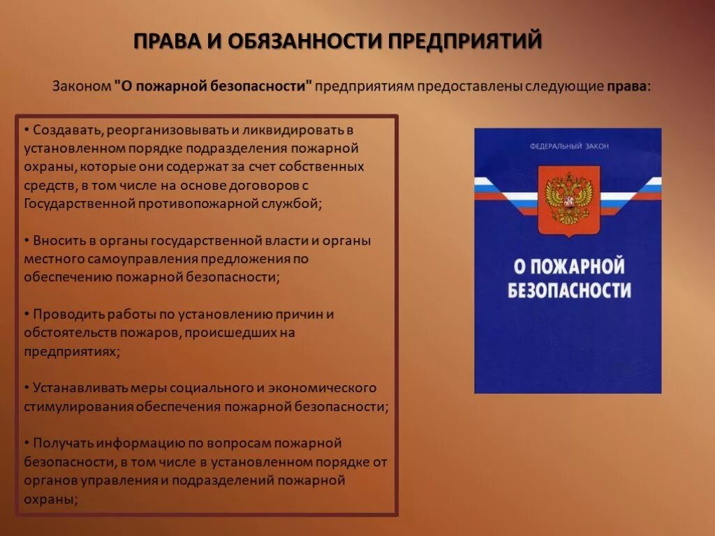 Обязанности предприятия. Обязанности государственного пожарного