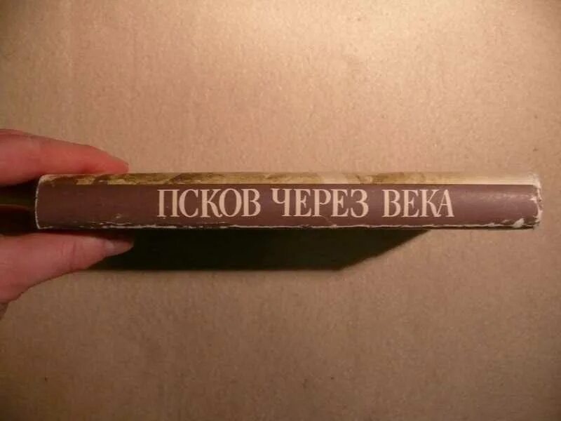 Псков мост через пскову. Дорога санкт-петербург псков. Псков мост через пскову. Через псков. От спб до калининграда.